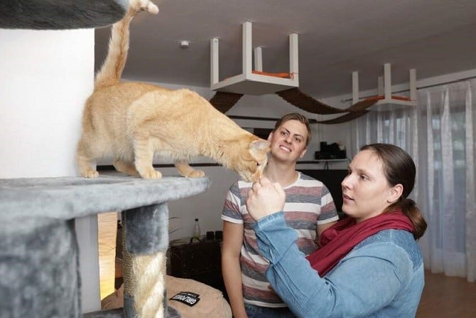 Theresa Hübner hift bei Streit im Mehrkatzenhaushalt - Theresa nimmt Kontakt mit Fred auf